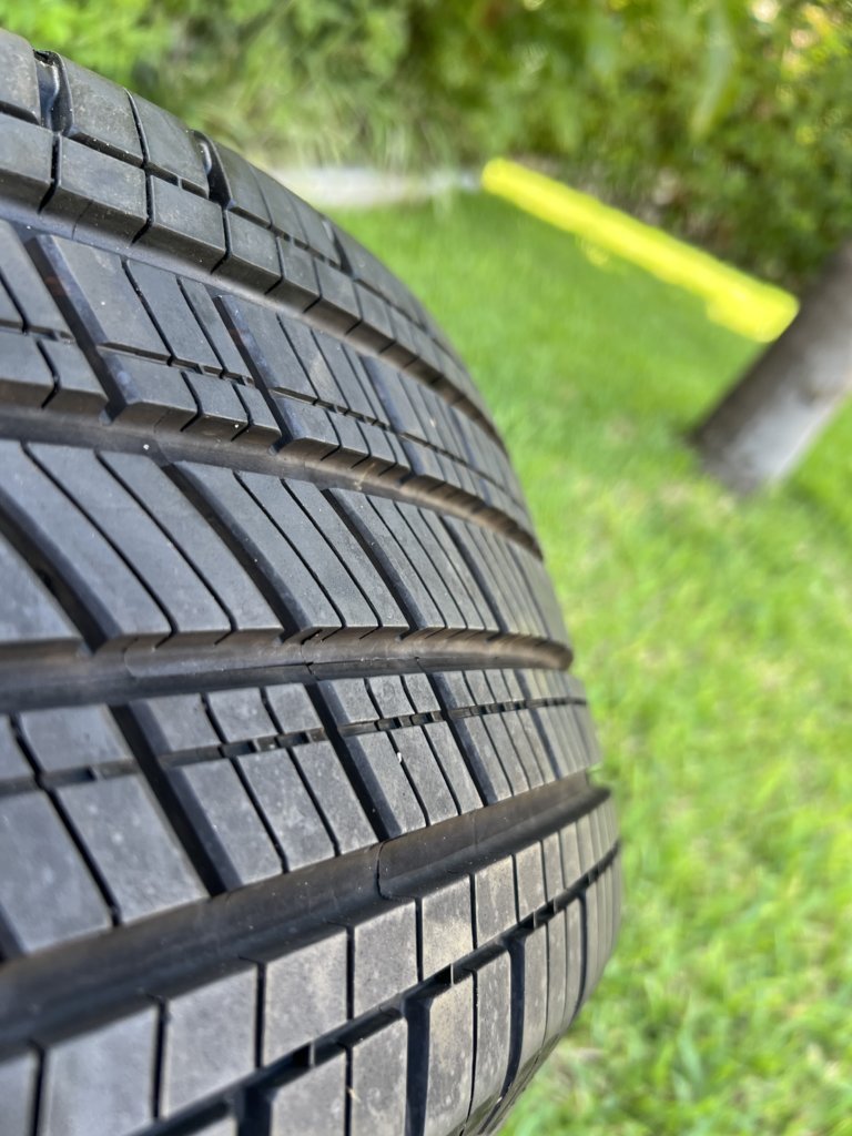 IMG_4080.jpg