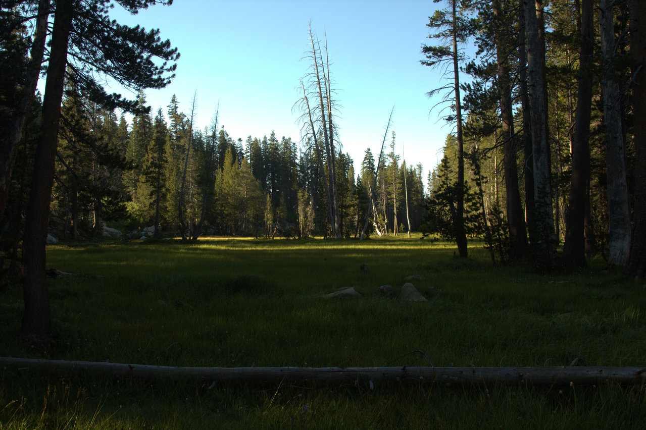 IMG_4107.jpg