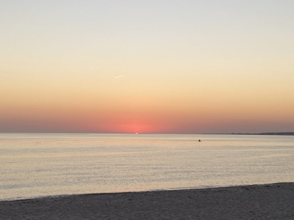 IMG_4125.jpg