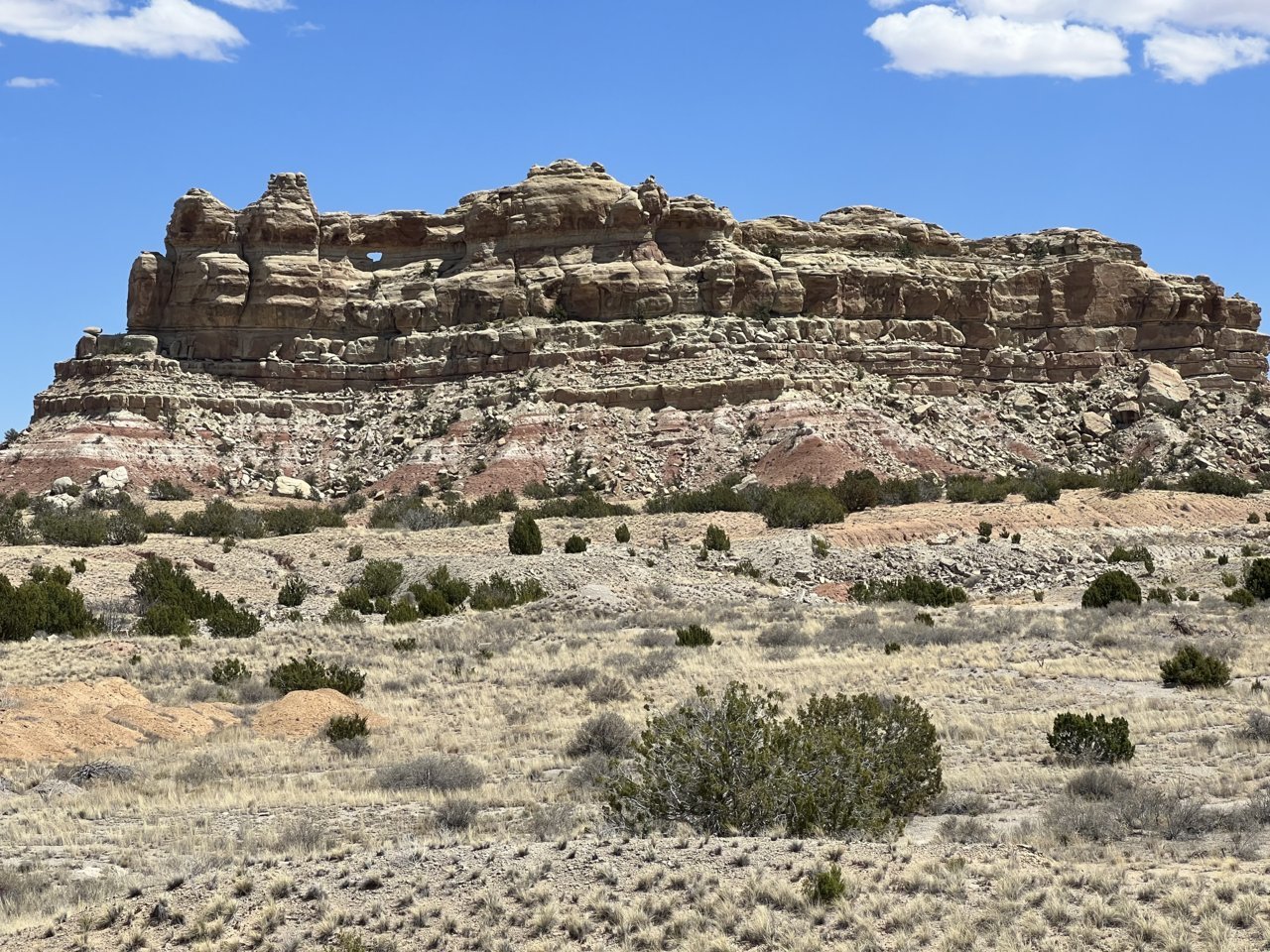 IMG_4155.jpg