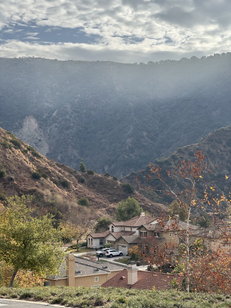 IMG_4184.jpg