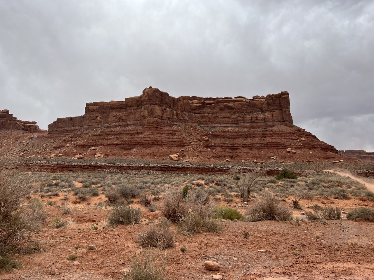 IMG_4217.jpg