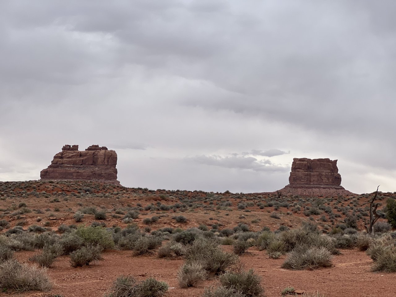 IMG_4229.jpg