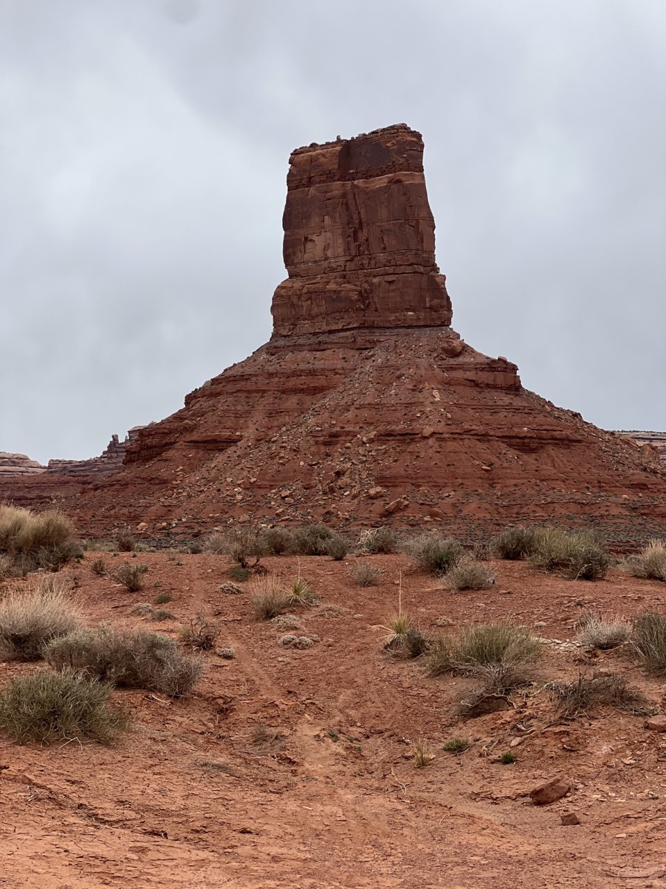 IMG_4240.jpg
