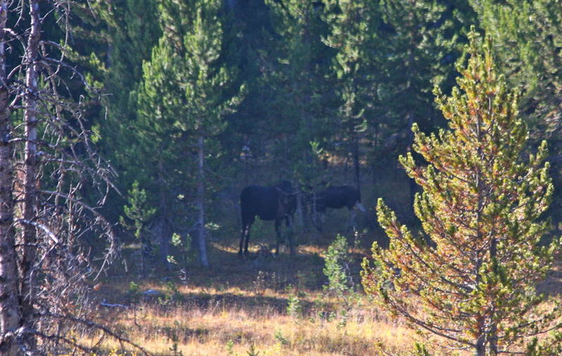 IMG_4250.jpg