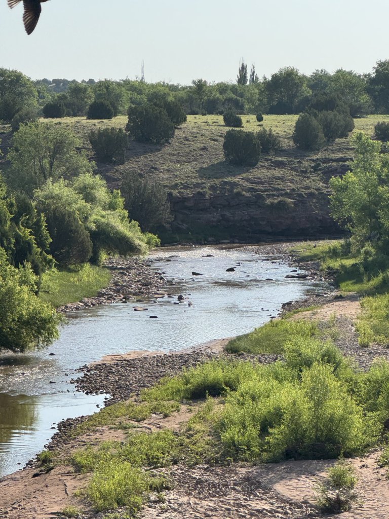 IMG_4283.jpg