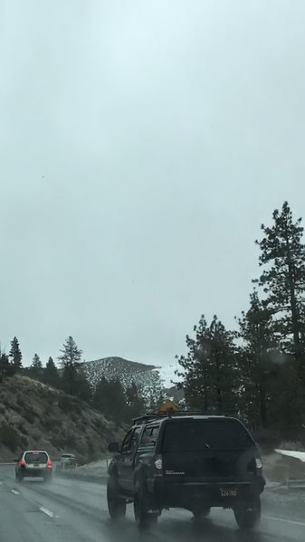 IMG_4303.jpg