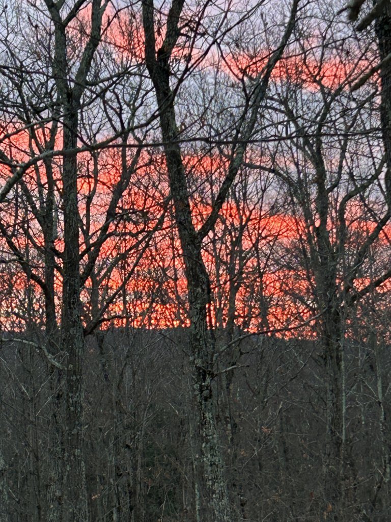 IMG_4415.jpg