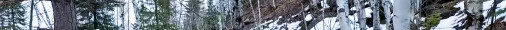 IMG_4422.HEIC.jpg