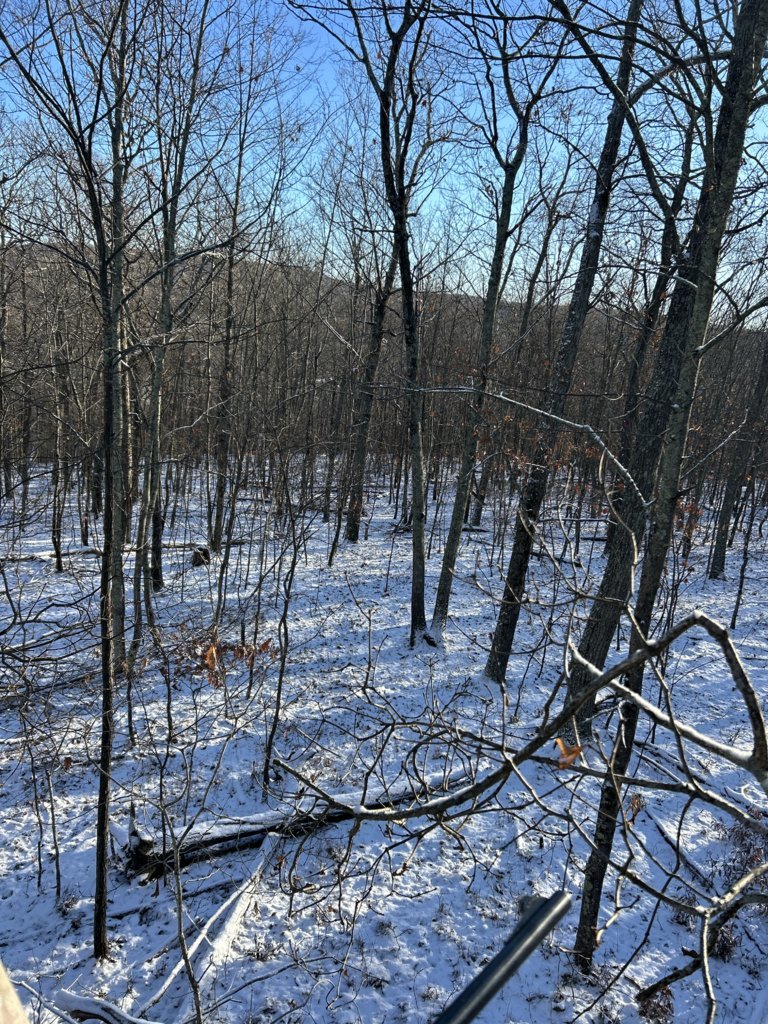 IMG_4436.jpg