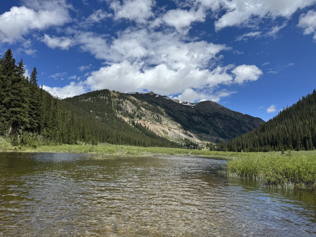 IMG_4446.jpg