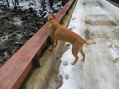 IMG_4446_opt.jpg