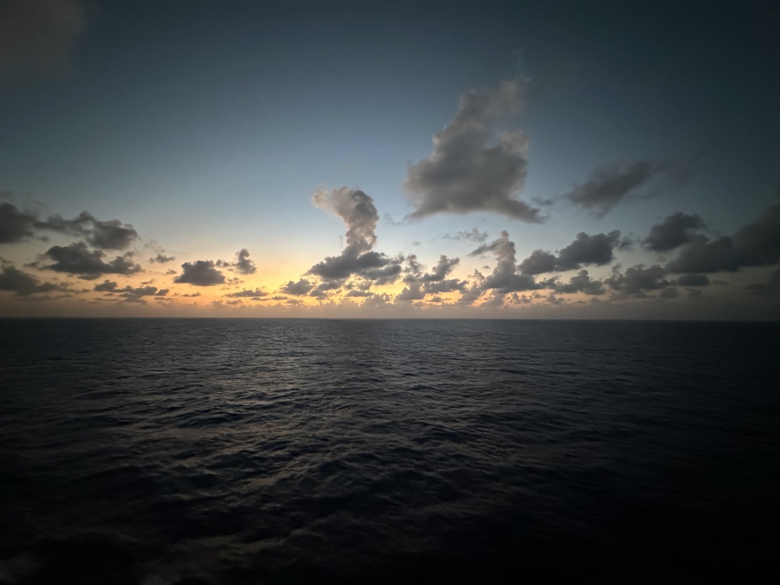 IMG_4470.jpg