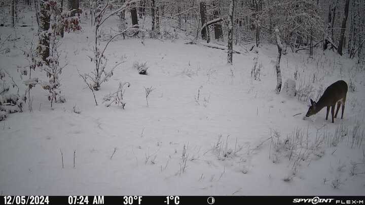 IMG_4472.jpg