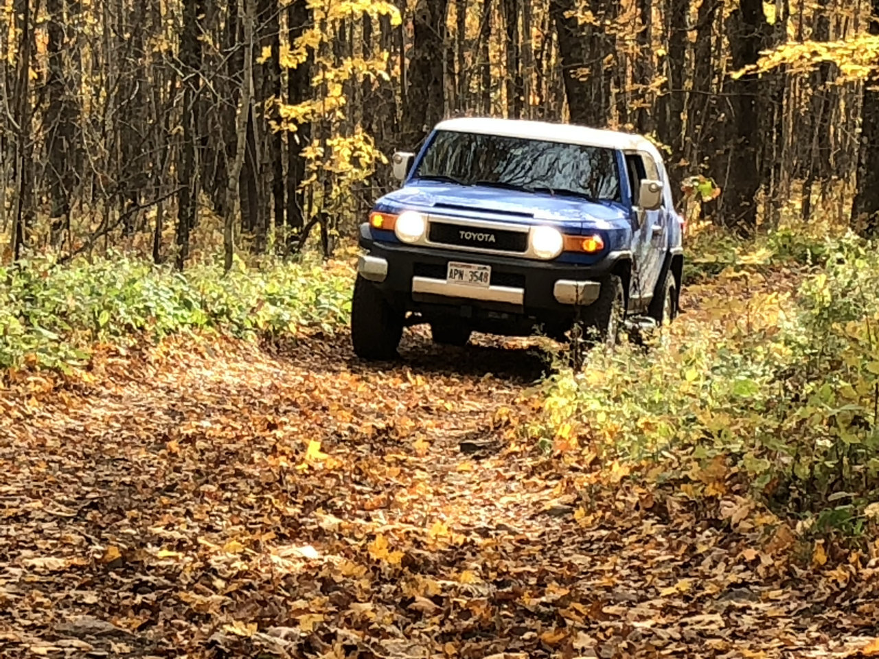 IMG_4486 FJ.jpg