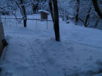 IMG_4528_opt.jpg