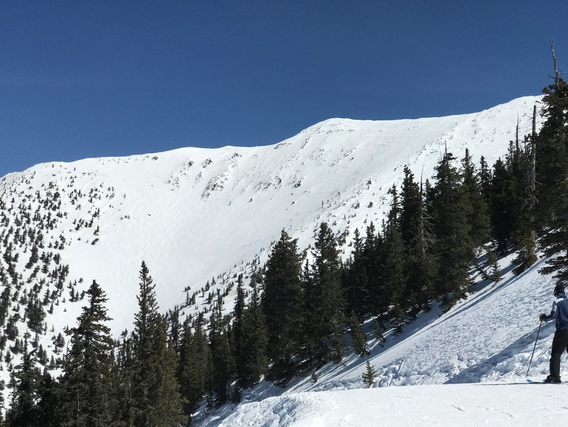 IMG_4537.jpg