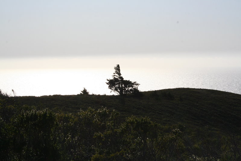 IMG_4564.jpg