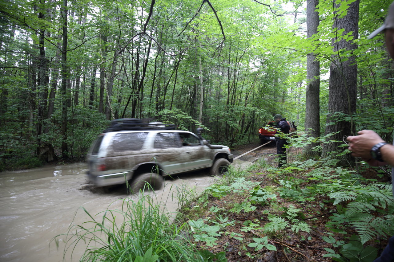 IMG_4618.jpg