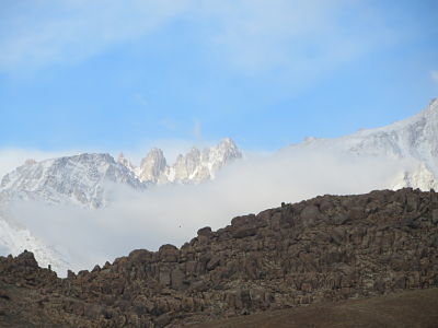 IMG_4637_opt.jpg