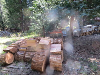 IMG_4676_opt.jpg
