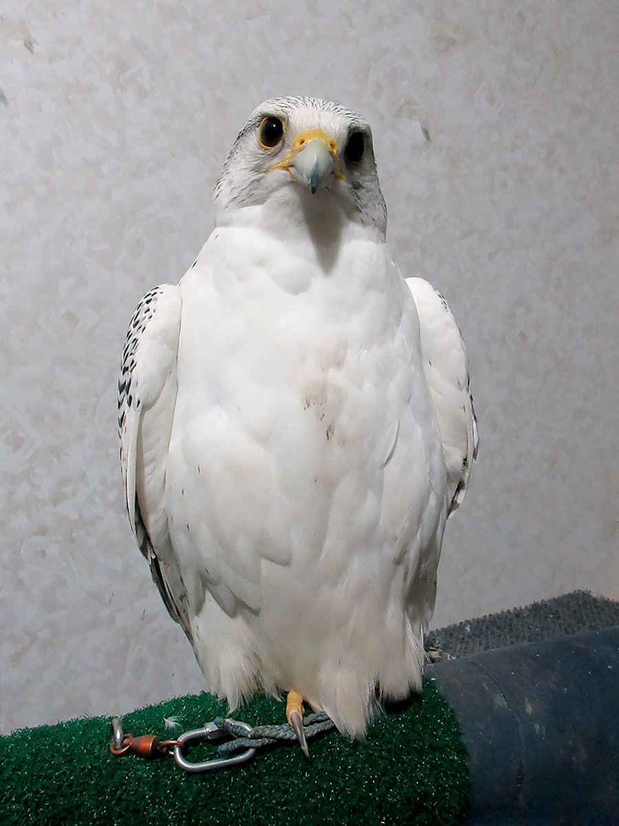 IMG_4691.jpg