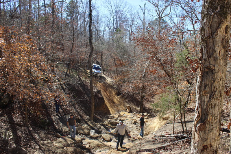 IMG_4738.jpg