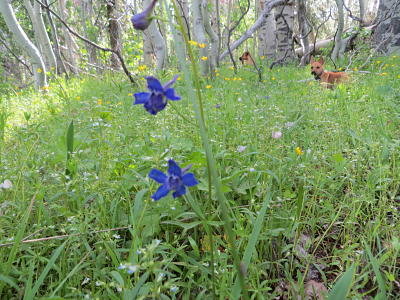 IMG_4749_opt.jpg