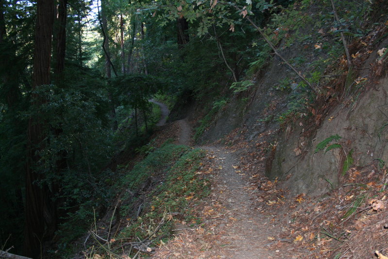 IMG_4751.jpg