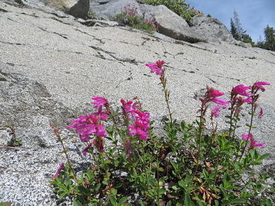 IMG_4754_opt.jpg