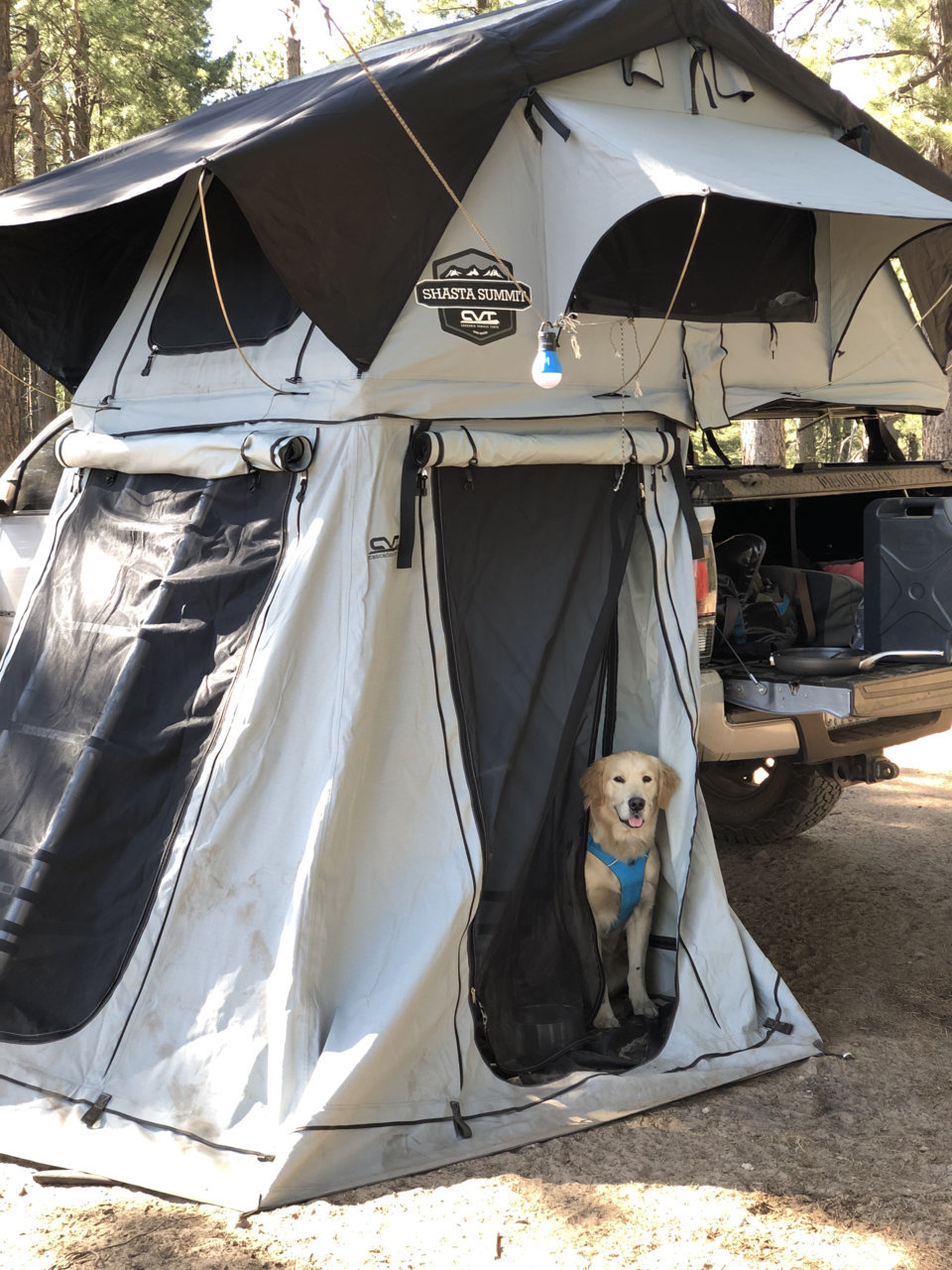 Mt shasta roof online top tent