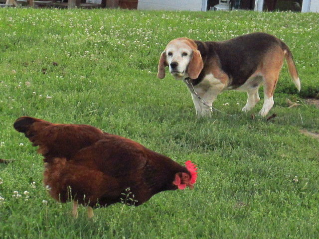 IMG_4788.jpg