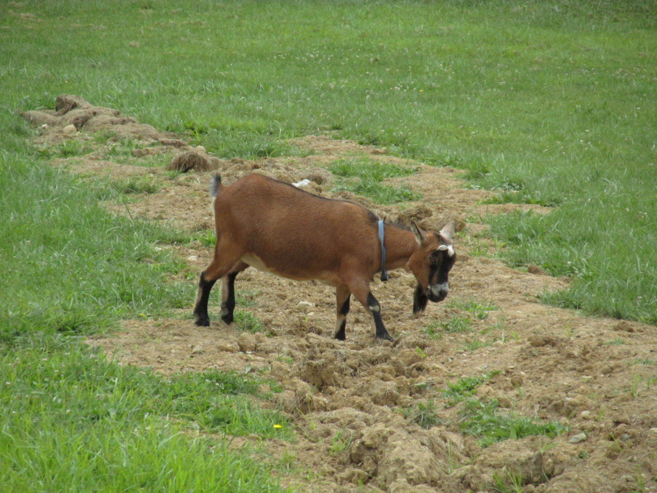 IMG_4798.jpg