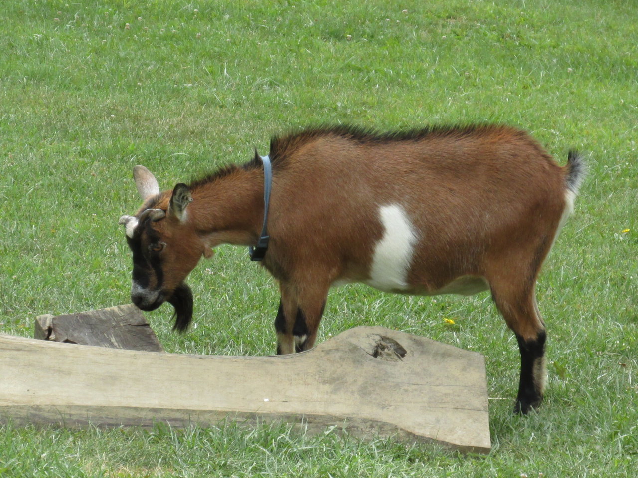 IMG_4805.jpg