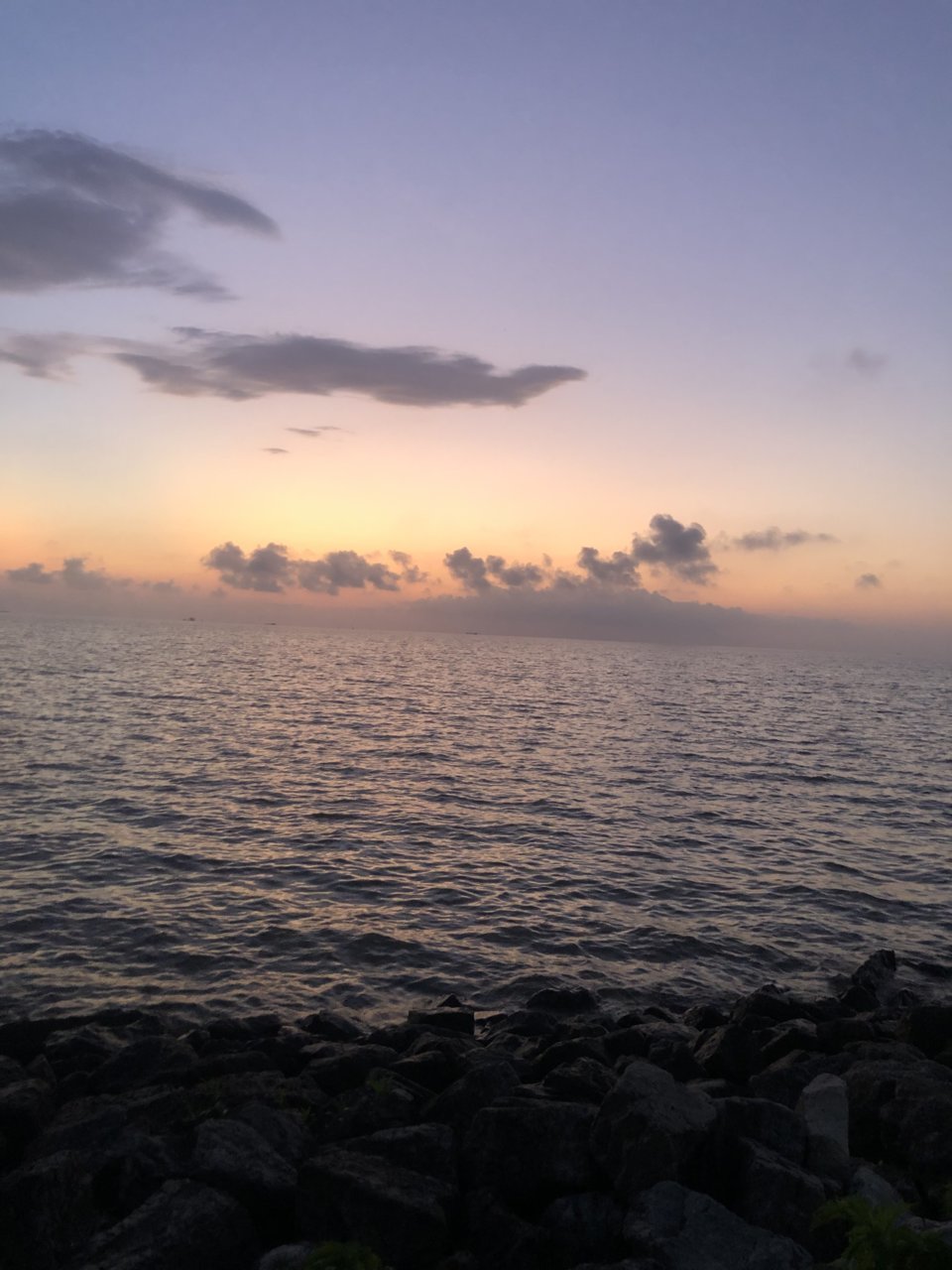 IMG_4806.jpg