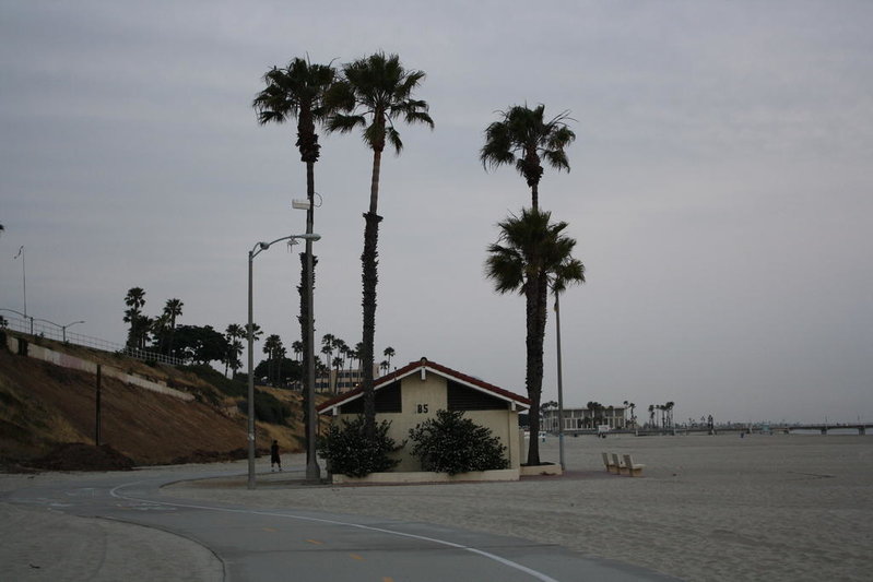 IMG_4811.jpg