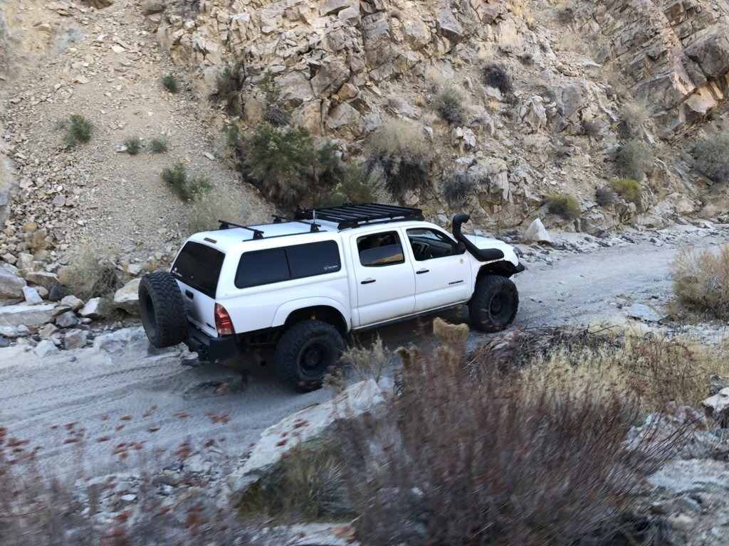 IMG_4815.jpg