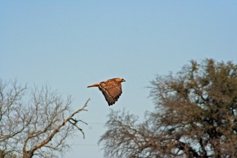 IMG_4826_edited-1_a5be2d1ff4ee36b6d05282875e6ba527e5d77764.jpg