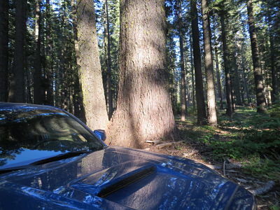 IMG_4874_opt.jpg