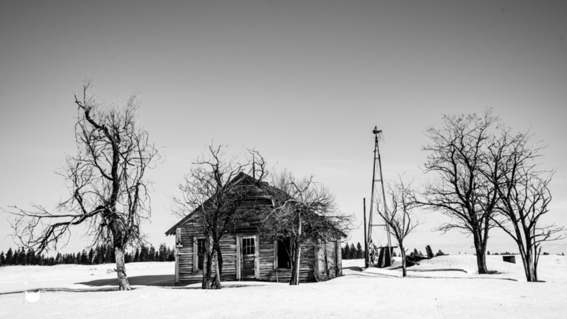IMG_4889.jpg