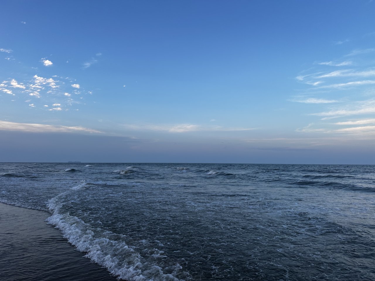 IMG_4898.jpg