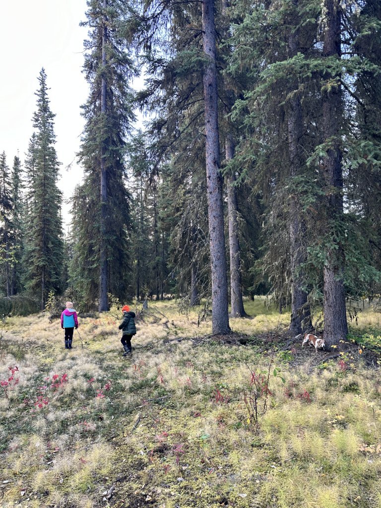 IMG_4900.jpg