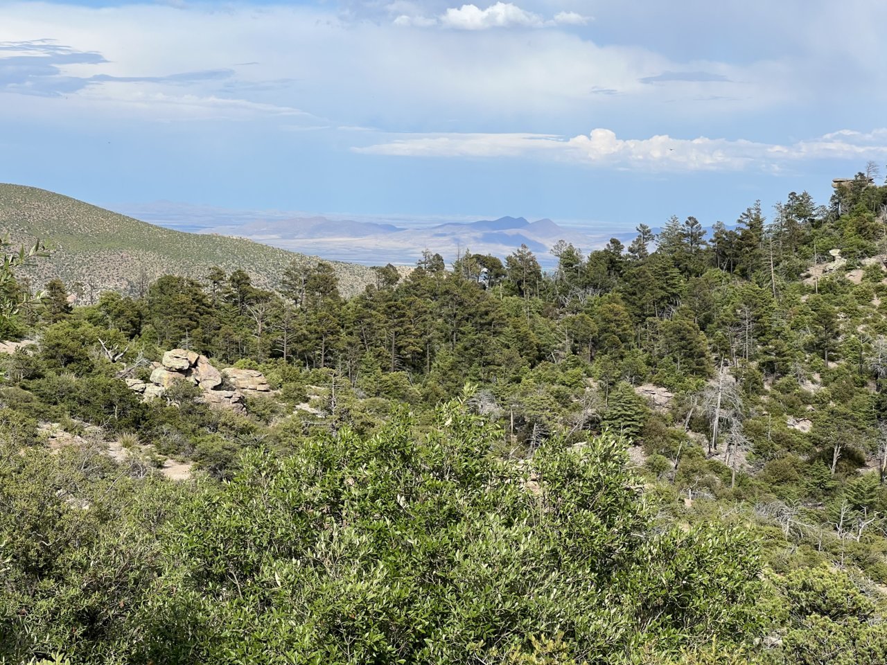 IMG_4905.jpg