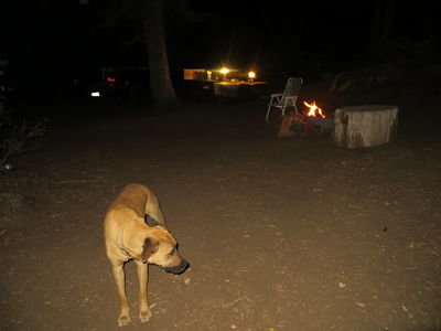 IMG_4964_opt.jpg