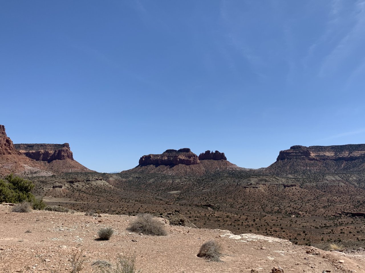 IMG_5030.jpg