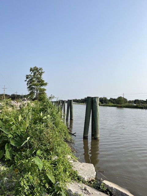 IMG_5076.jpg