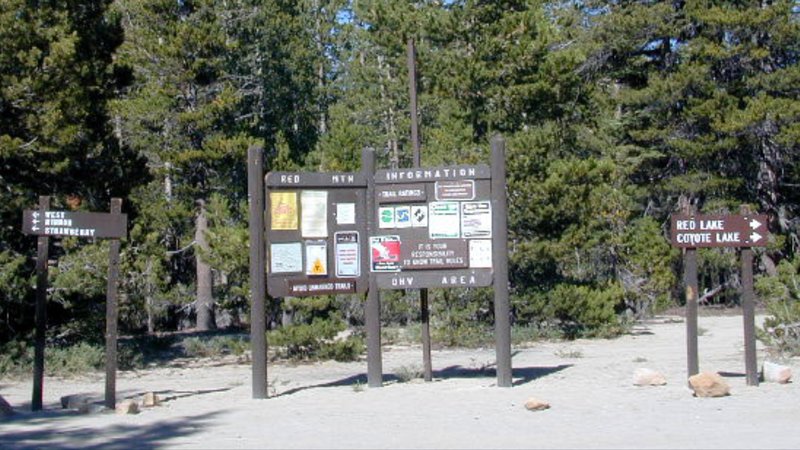 IMG_5128.jpg