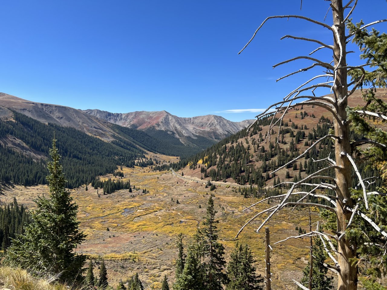 IMG_5128.jpg