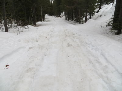 IMG_5131_opt.jpg