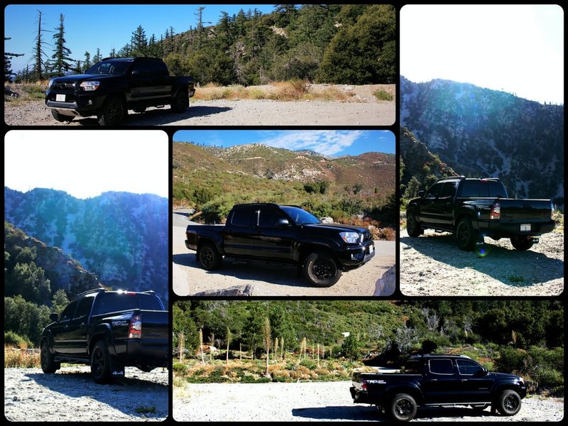 IMG_5184_Fotor_Fotor_Collage.jpg